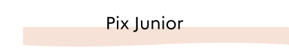 titre pix junior