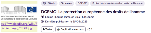 La protection européenne des droits de l'homme