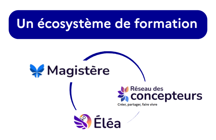 Ecosystème Magistère RDC