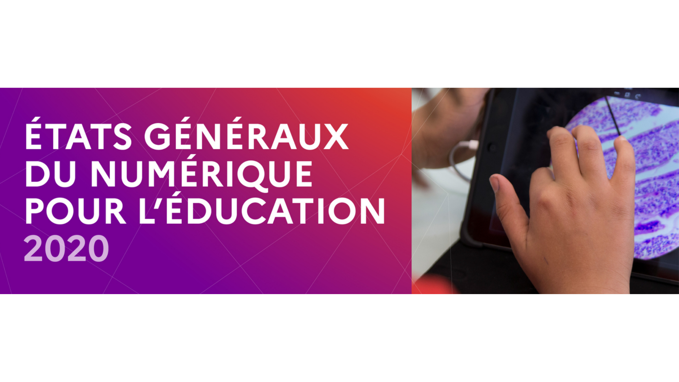 logo EGN bannière site